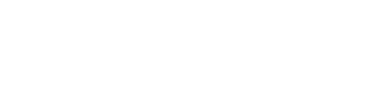 Dev Warriorr Logo